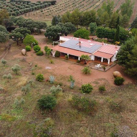 Agroturismo La Finka Los Quiles Dış mekan fotoğraf