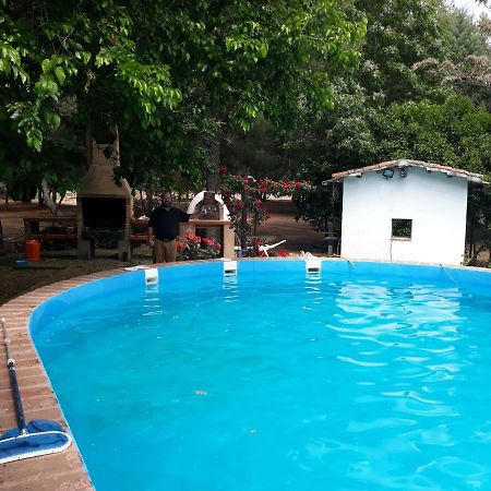 Agroturismo La Finka Los Quiles Dış mekan fotoğraf